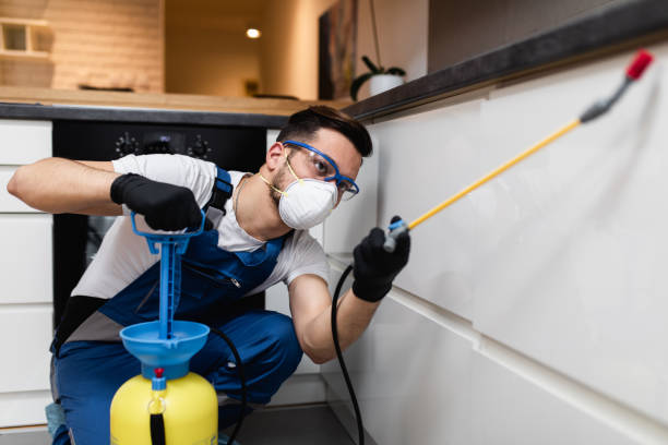 Best Pest Control Near Me  in Geneva, IL
