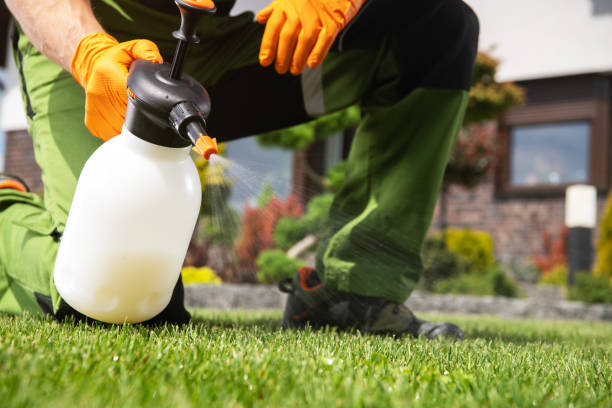 Best Insect Control  in Geneva, IL
