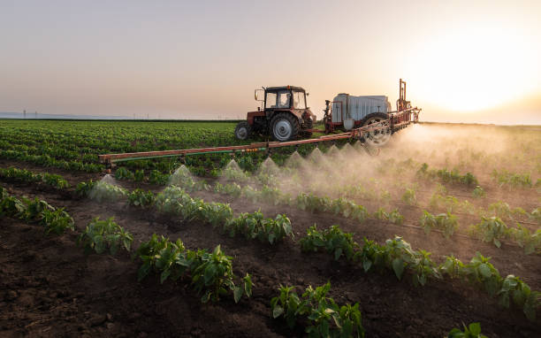 Best Insect Control  in Geneva, IL
