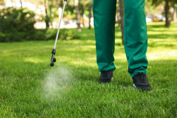 Best Emergency Pest Control  in Geneva, IL