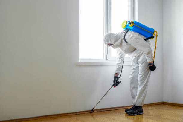 Best Wildlife Control Services  in Geneva, IL