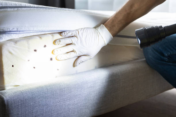 Best Pest Control for Businesses  in Geneva, IL