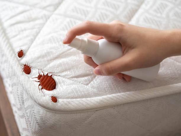 Best Ant Control Services  in Geneva, IL