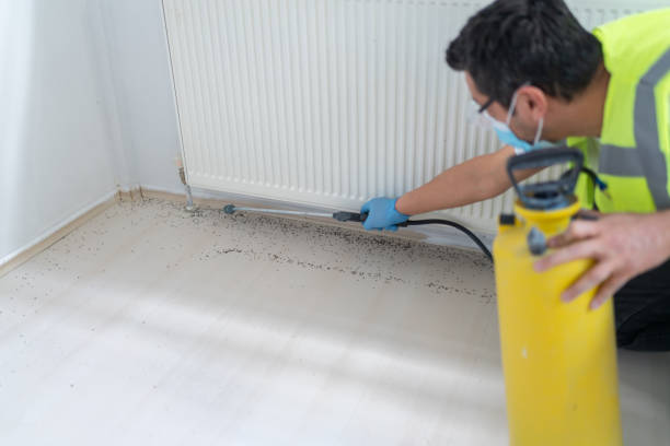 Flea Control Services in Geneva, IL