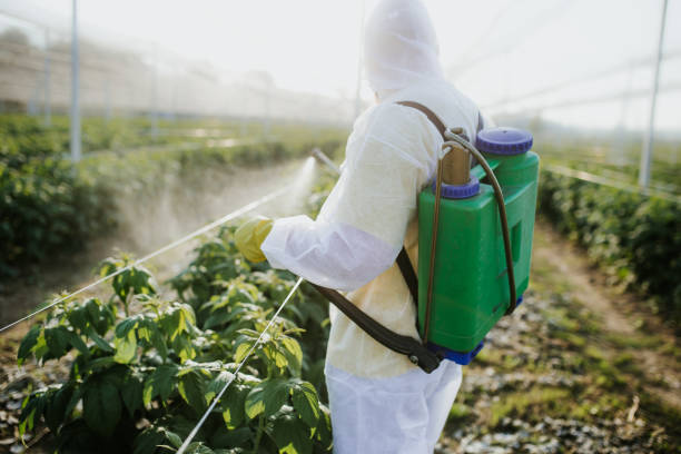 Best Affordable Pest Control Services  in Geneva, IL